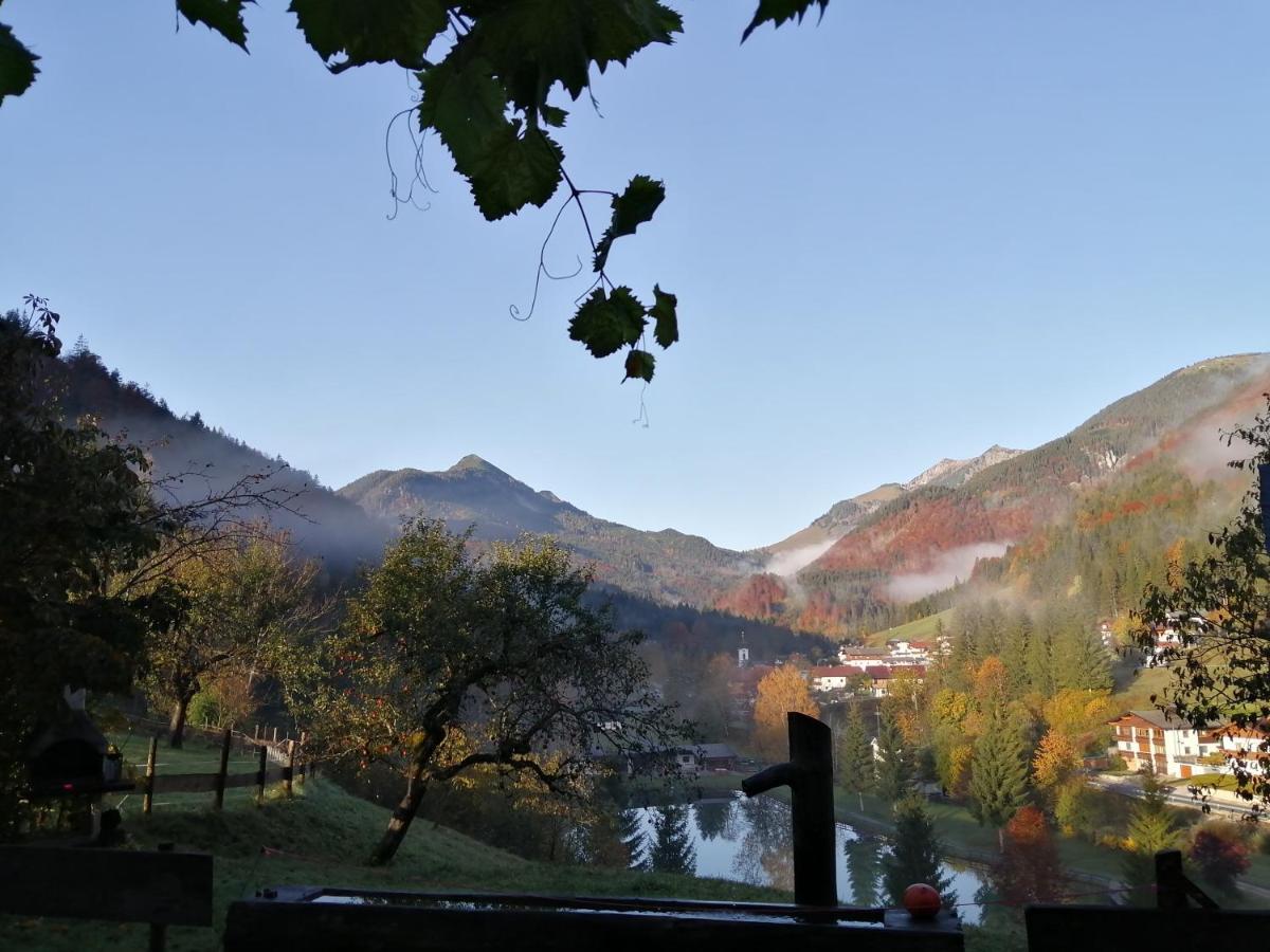 Apartment Bio-bauernhof 