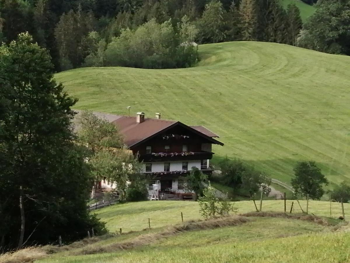 Bio-bauernhof 