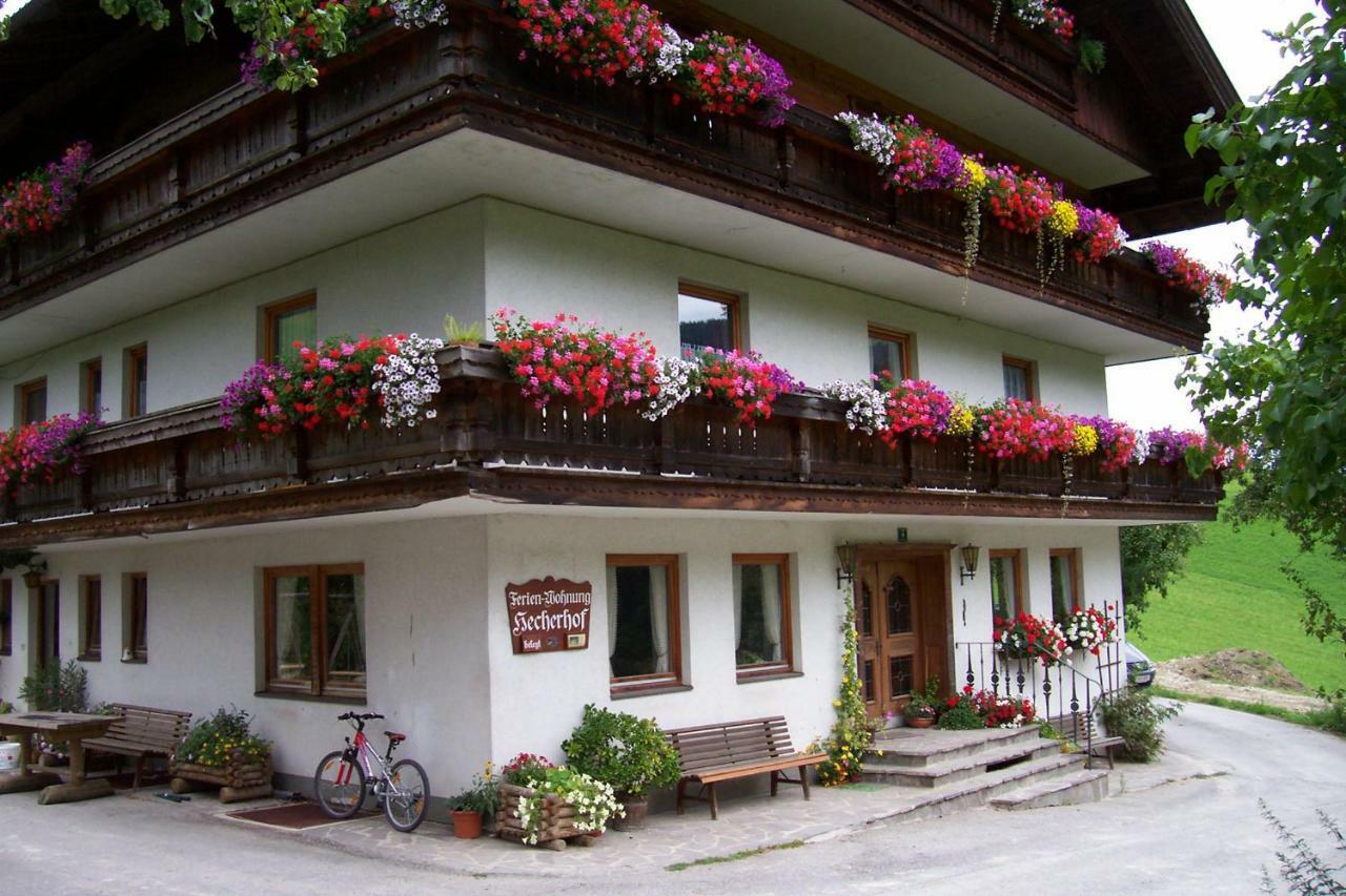 Bio-bauernhof 