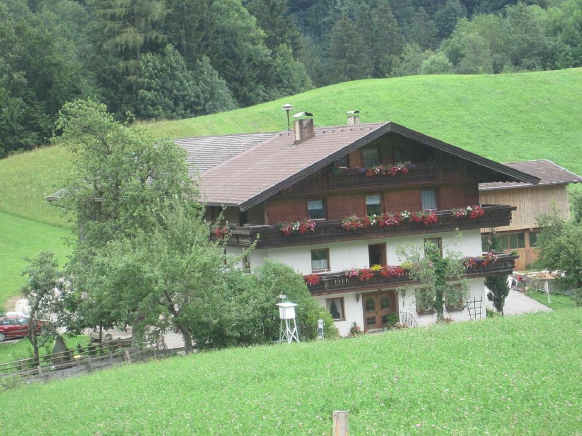 Bio-bauernhof 