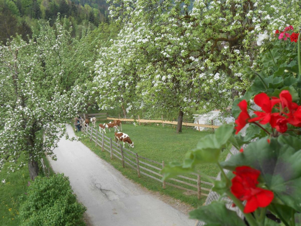 Bio-bauernhof 
